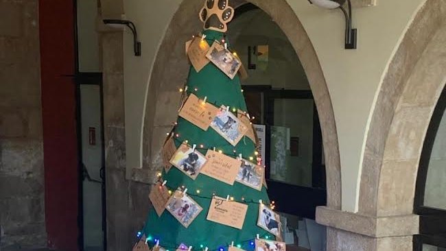 L'arbre de Nadal