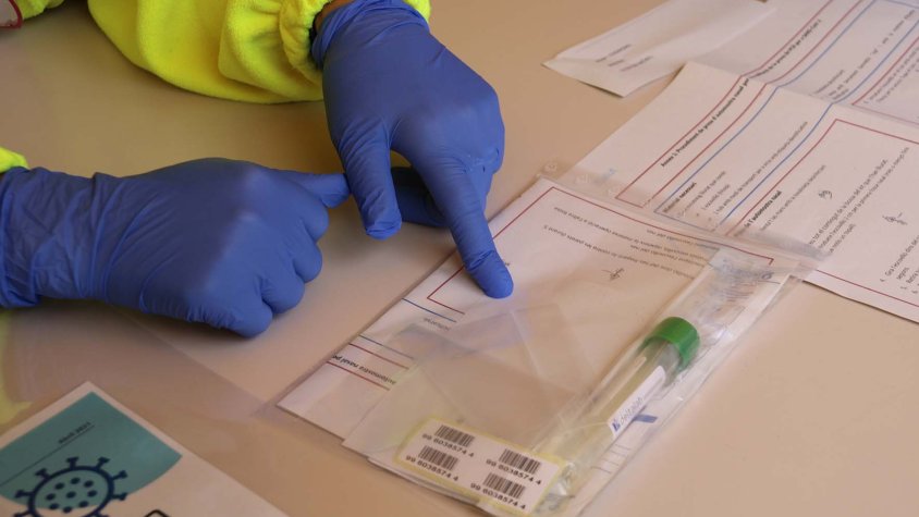 Detall del kit per a les automostres per a la PCR