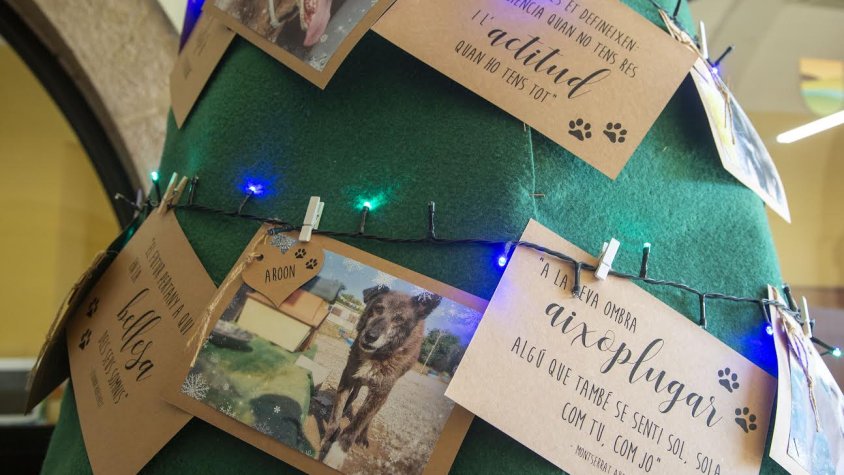 Arbre de Nadal per fomentar les adopcions