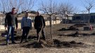 Planten una quinzena d'arbres a la canera comarcal de Tàrrega 