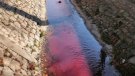 La Generalitat investiga l'aigua tenyida de roig al Sió al seu pas per Agramunt