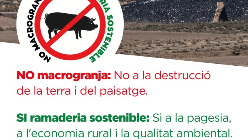 Cartell contra el projecte de la macrogranja al Canós