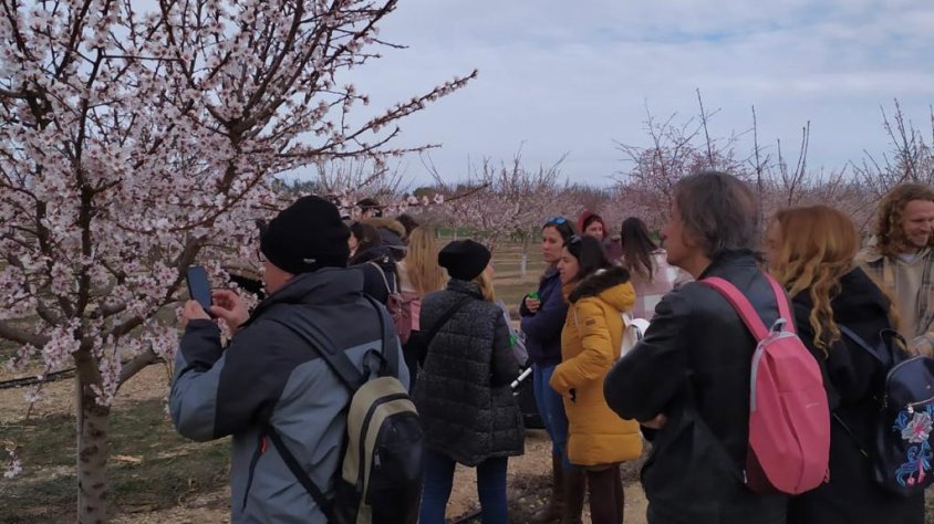Visita a un camp d'ametllers florits