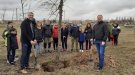 Castellserà planta un arbre en memòria dels veïns que han mort durant la pandèmia