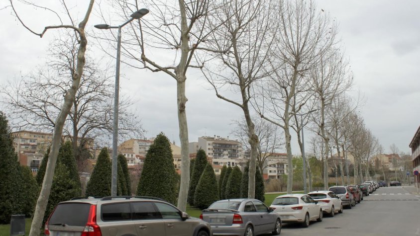 Les noves lluminàries