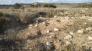 Investiguen un espoli al jaciment ibèric del Pla de les Tenalles