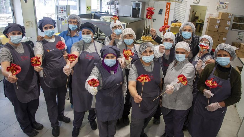 Treballadores del Rosal amb les roses noves