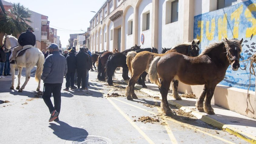 A la Fira de Cavalls i Mules es venien una vintena d’exemplars amb preus a partir de 1.000 euros