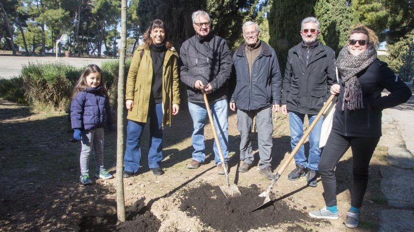 Plantada de l'arbre simbòlic de la festa