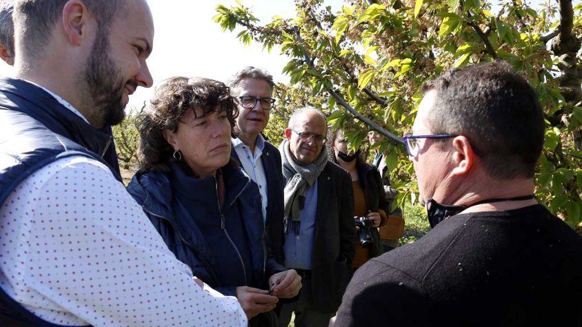 Jordà durant la visita a finques de Corbins