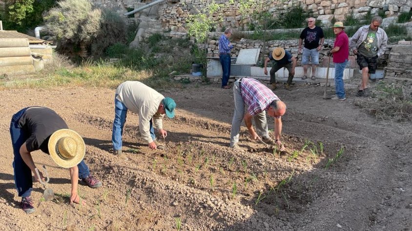 Primera plantada comunitària