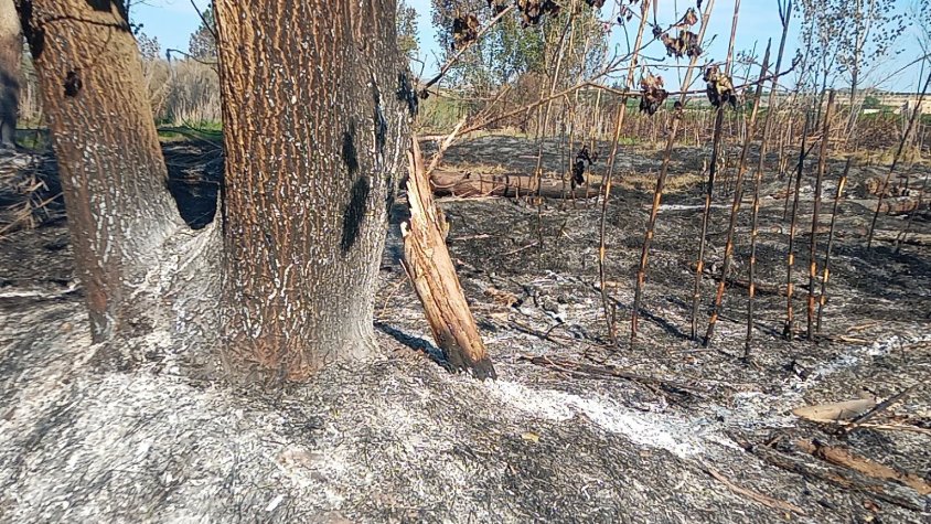 Imatge d'arxiu d'un incendi