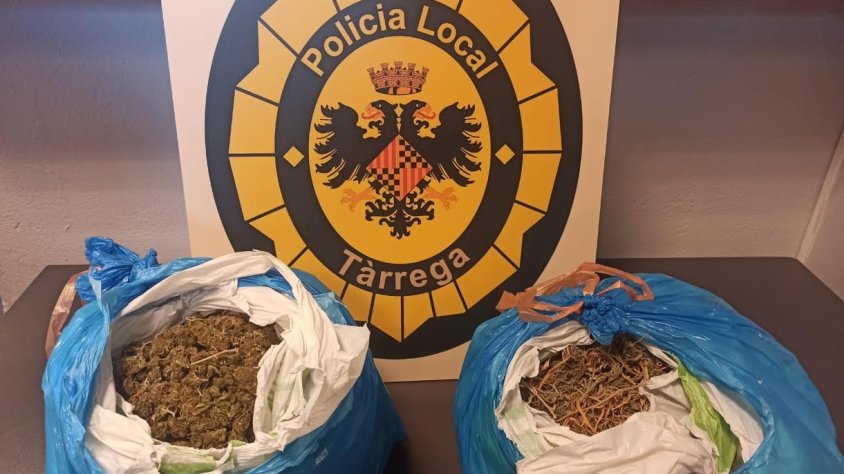 La marihuana intervinguda