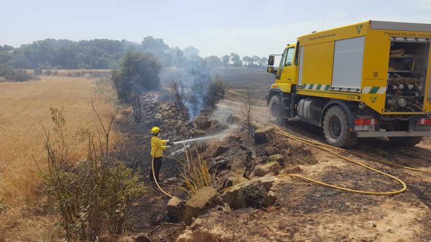 Imatge d'arxiu d'un incendi durant la campanya de la sega