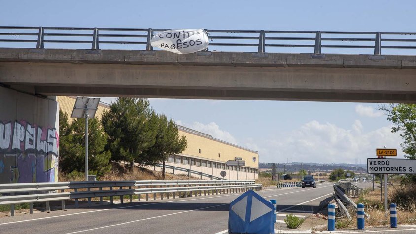 Imatge de la cartell un cop ja havien retirat els conills morts