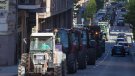 Marxa de vuitanta tractors a l'Urgell per reclamar mesures urgents contra la plaga de conills