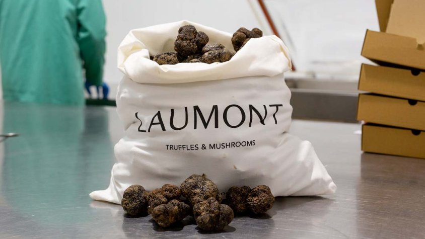 Aquest últim any fiscal, la facturació de l'empresa ha crescut un 30%