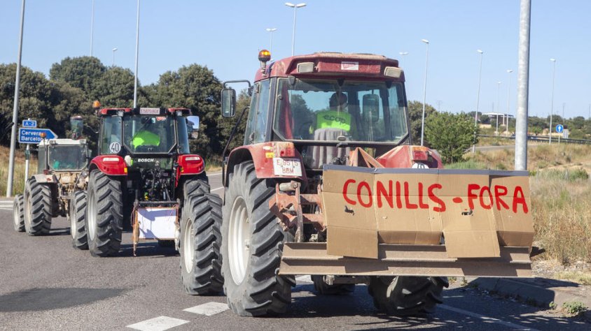 Un moment de la marxa de divendres passat