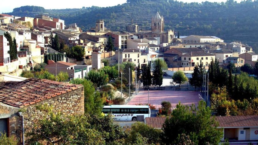 Vista de Vallbona de les Monges
