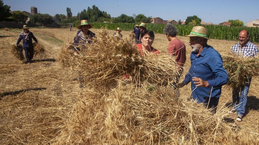 Un moment de les festes