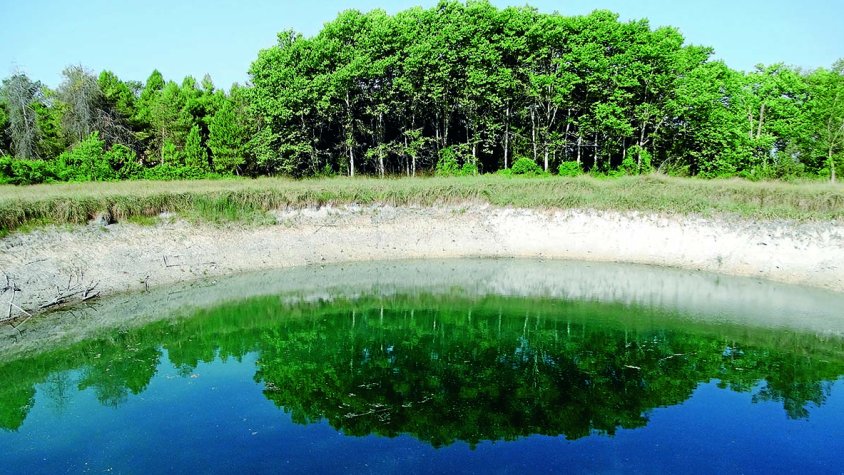 Una imatge de l'excursió