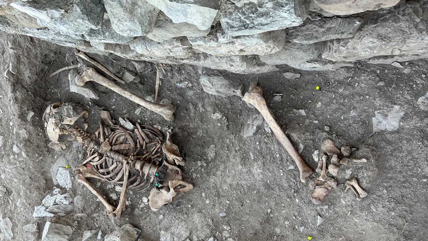 Les restes òssies trobades
