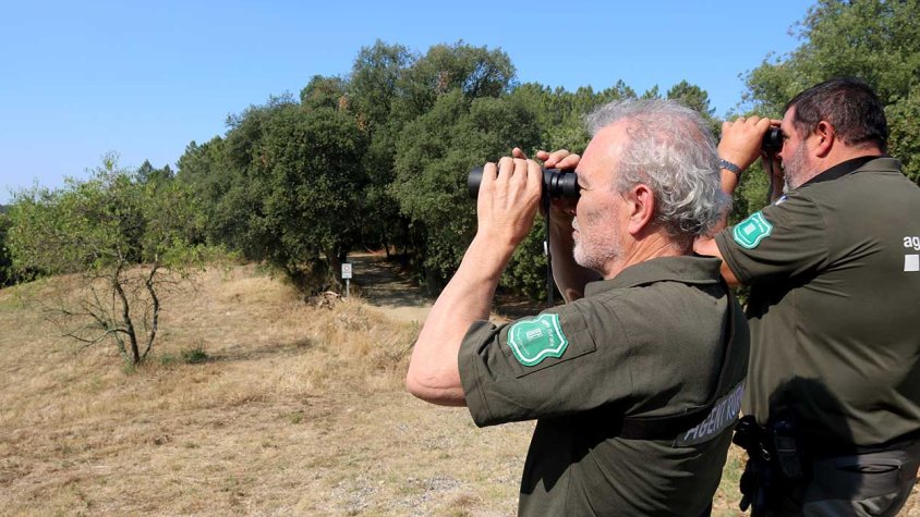 Imatge d'arxiu d'Agents Rurals vigilant amb prismàtics un massís