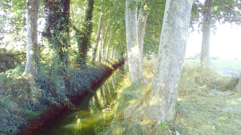 El Canal d'Urgell