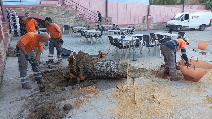 Treballs de la brigada municipal