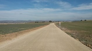 Vista d'un camí