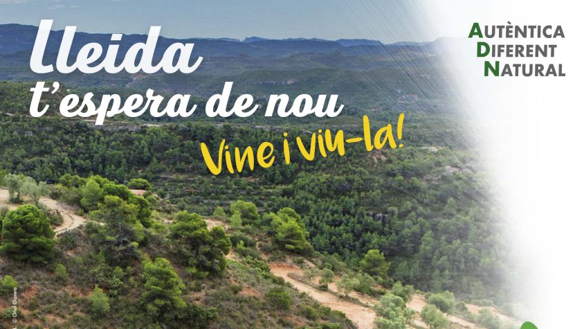 Un dels anuncis