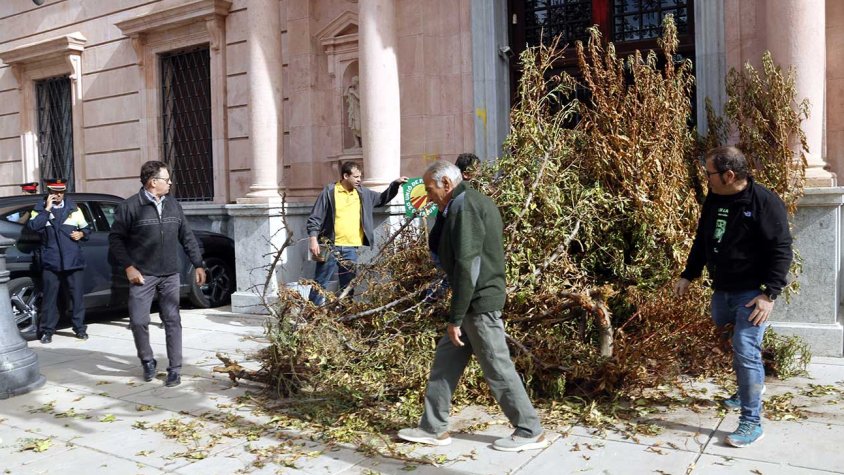 Membres d'UP bloquejant amb arbres arrencats l'entrada de la subdelegació del govern a Lleida