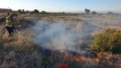 Incendi de matolls en un solar de Vilagrassa