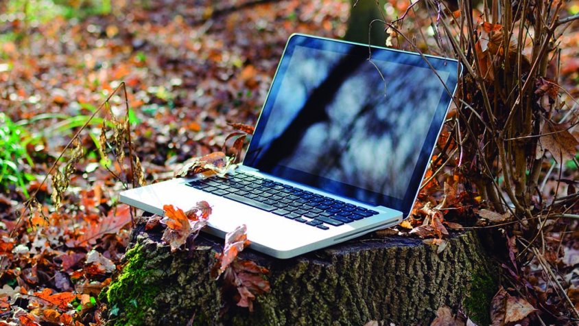 Un ordinador al bosc