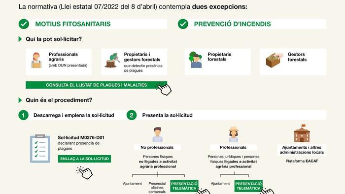 Infografia