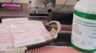 Els comerços de Tàrrega es tenyeixen de rosa contra el càncer de mama