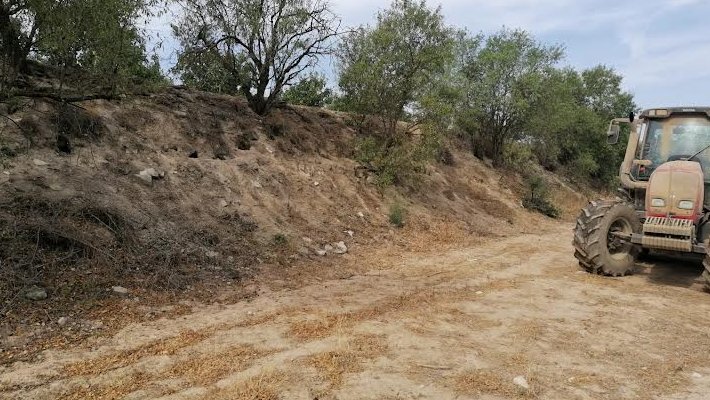 Una finca amb caus de conills