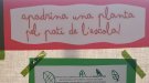 L’AFA i l’escola Maria Mercè Marçal de Tàrrega engeguen la campanya 'Apadrina una planta' per renaturalitzar el pati