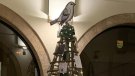 L’arbre de Nadal del consell de l'Urgell ret homenatge a Guillem Viladot