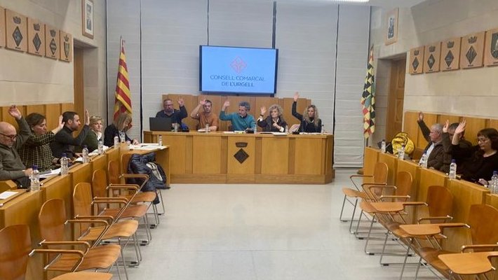 Un moment del ple celebrat ahir a la nit