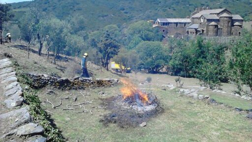 Crema de restes vegetals