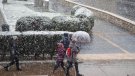 La neu enfarina bona part de l'Urgell