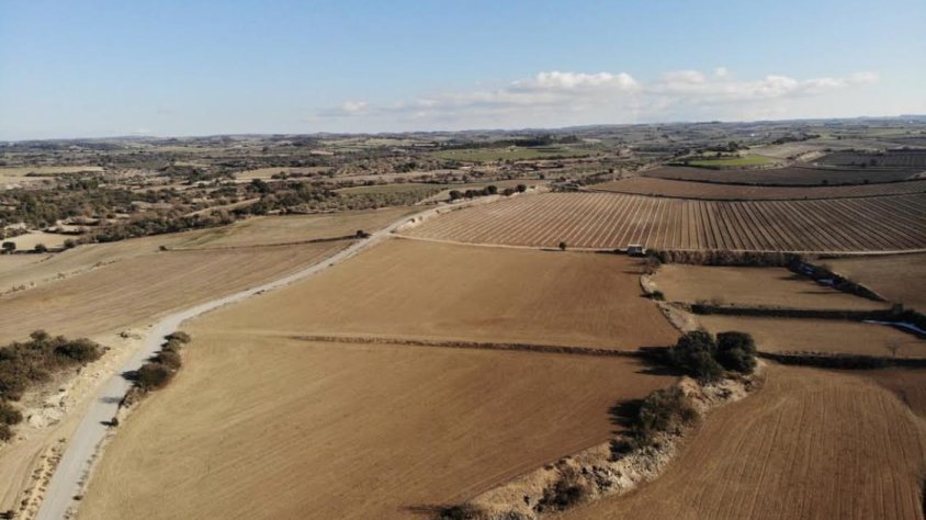 La zona agrícola de Verdú afectada per les destrosses de la plaga de conills