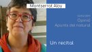 Ponsarnau, Aloy i Sanz, a 'Opinió'