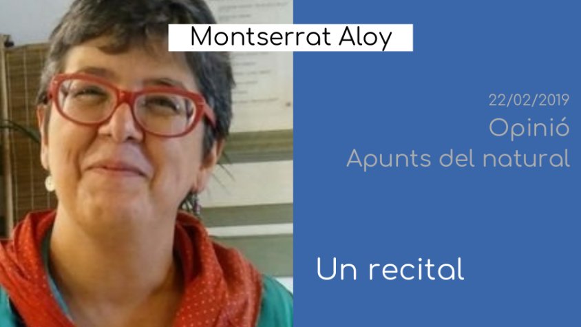 Ponsarnau, Aloy i Sanz, a 'Opinió'