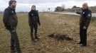 Prova pilot dels Agents Rurals a Lleida per reduir els accidents de trànsit per atropellament de fauna salvatge