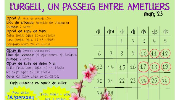 Cartell de l'activitat