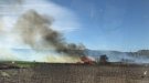 Un incendi crema 4 hectàrees de matolls i brossa a Rocafort de Vallbona
