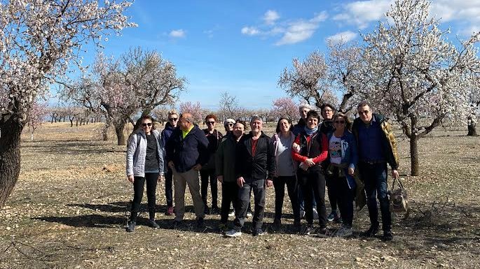 Visitants a la floració dels ametllers