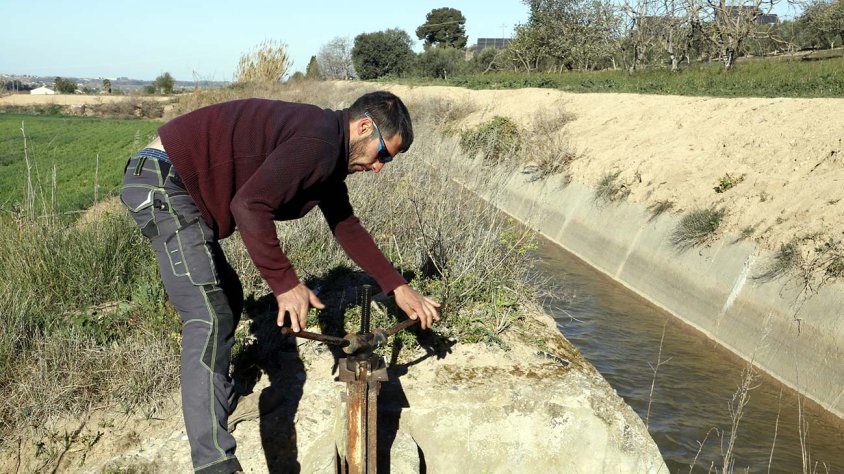 Un regador dona l’aigua del Canal d’Urgell a un camp d’Arbeca